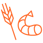 Shrimp and wheat icon to show food intolerances and the list of foods analyzed in Biron's DNA nutrition test