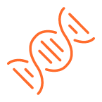 DNA icon reprenting the largest panel of genes and alleles tested in Biron PGx test for mental health 