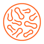 Petri box with bacteria to illustrate the analysis of the intestinal gut flora with a microbiome test